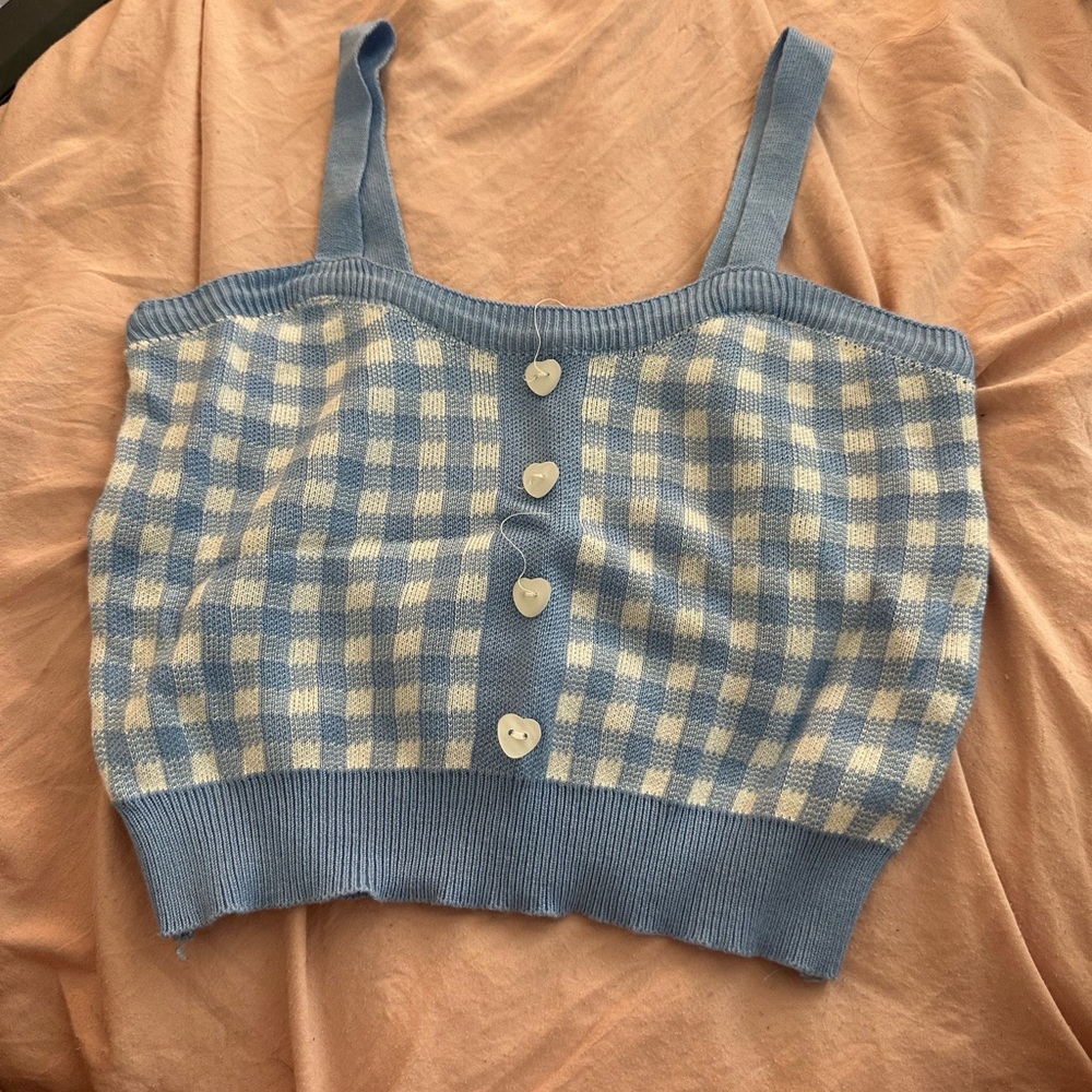 Blue Gingham Knit Crop Top